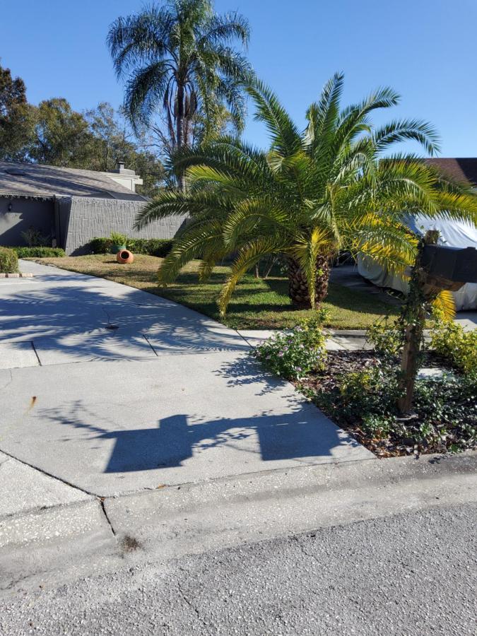 Beautiful Apartment Close To Everything Tampa Exterior photo