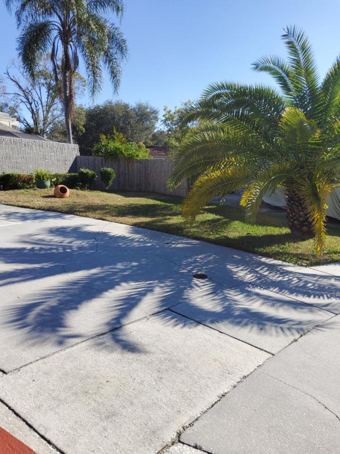 Beautiful Apartment Close To Everything Tampa Exterior photo