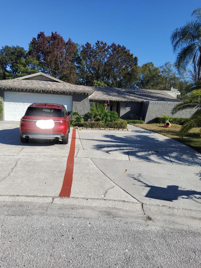Beautiful Apartment Close To Everything Tampa Exterior photo