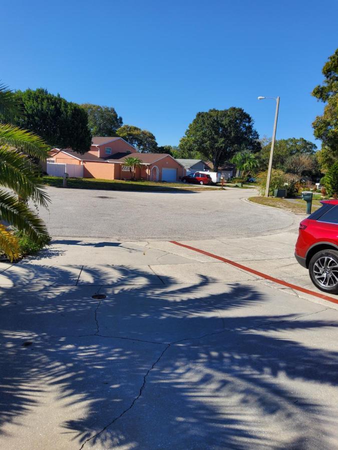 Beautiful Apartment Close To Everything Tampa Exterior photo