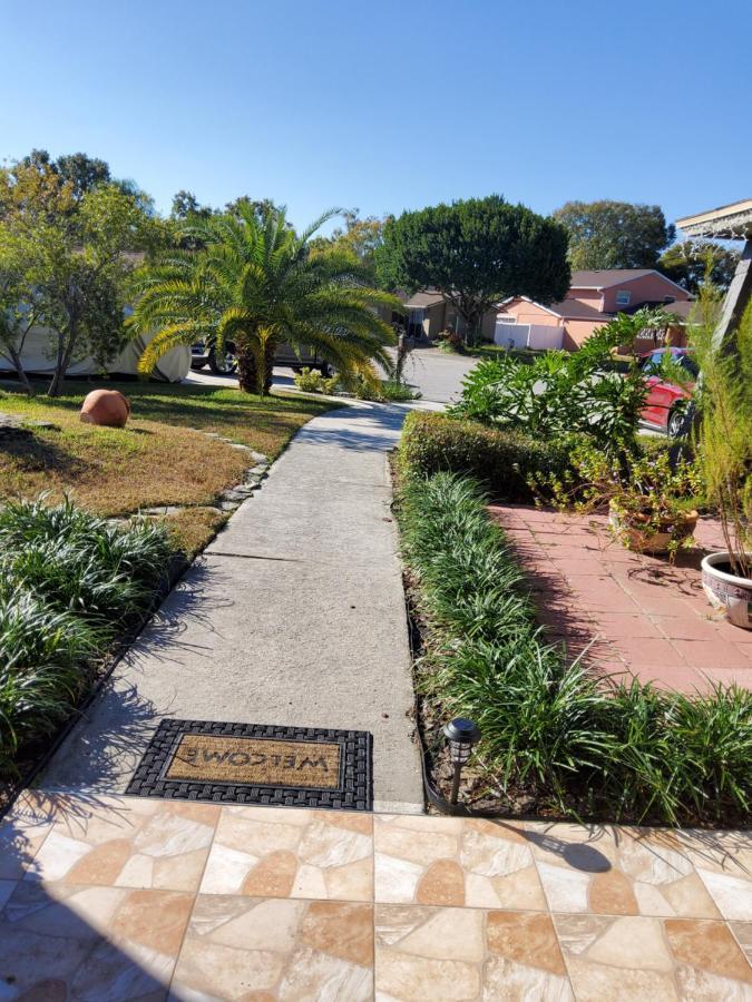 Beautiful Apartment Close To Everything Tampa Exterior photo