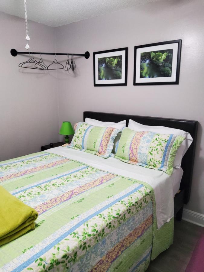 Beautiful Apartment Close To Everything Tampa Exterior photo