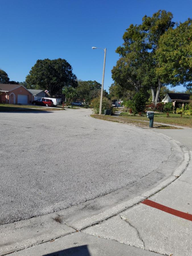 Beautiful Apartment Close To Everything Tampa Exterior photo
